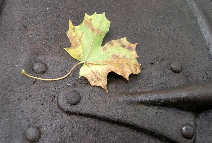 Detaljer 2006_36.jpg